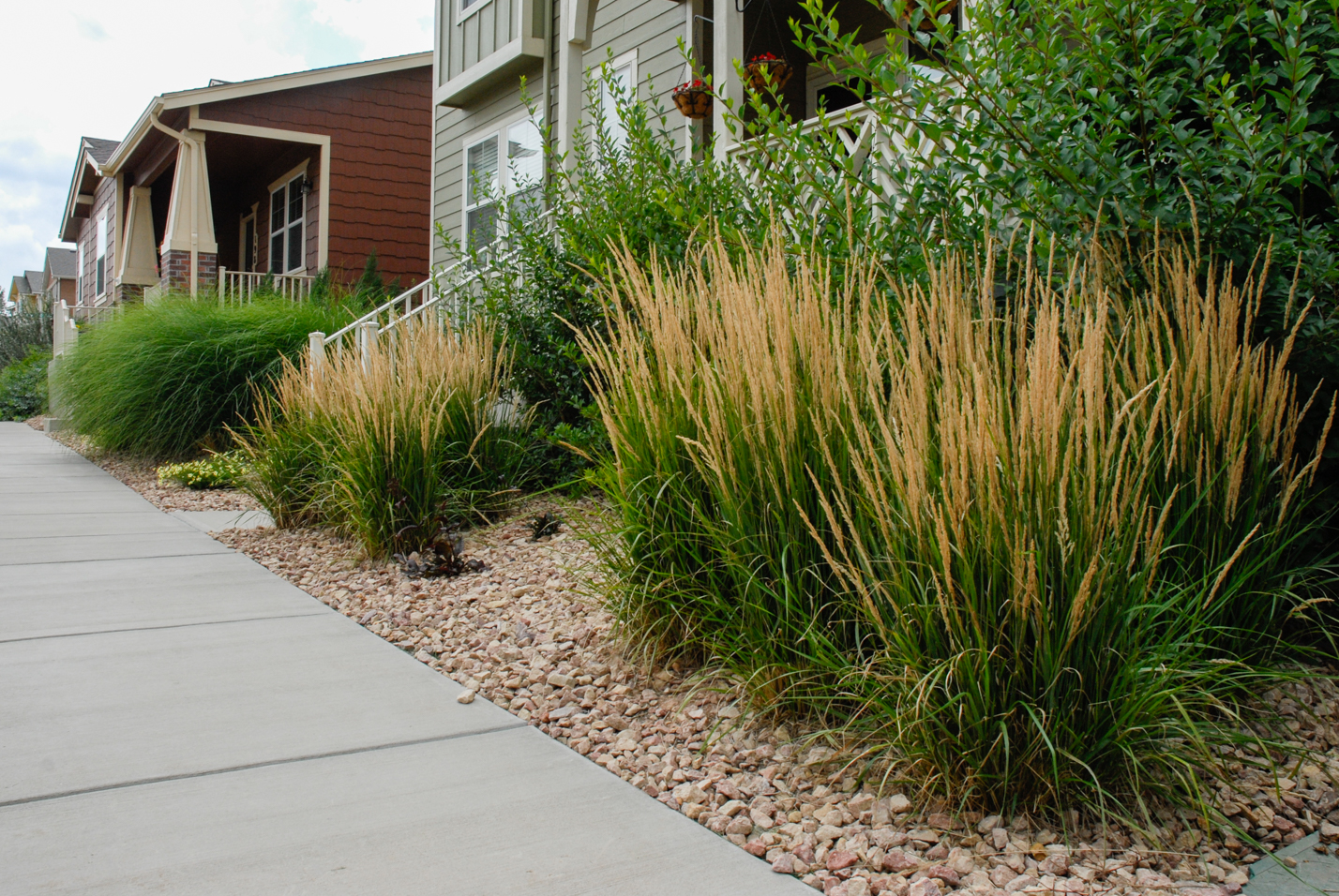 Small Rock Mulch Yard